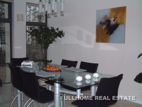 Modern Villa - Interior view 4, Shanghai rental property